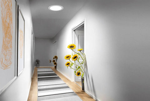 Round Solar Light Kit Large installed in gallery